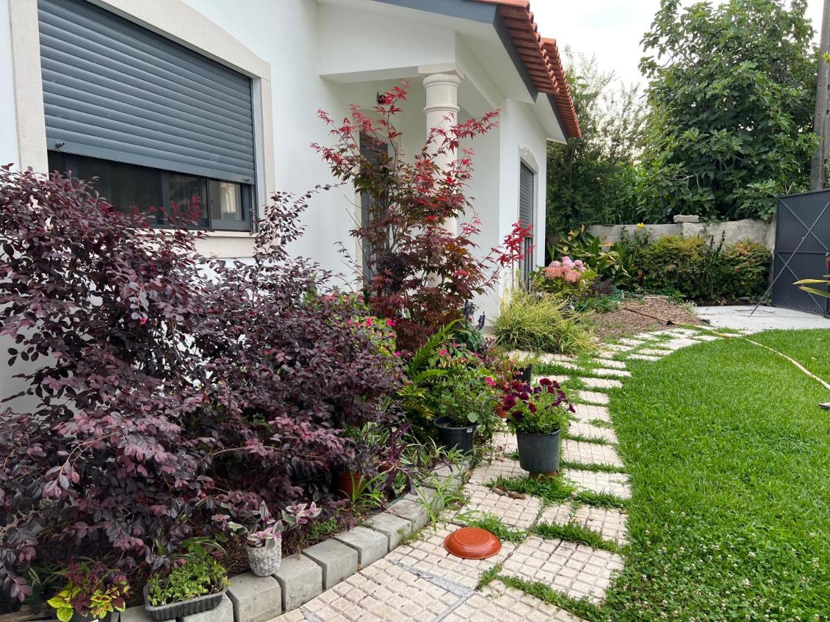 Beautiful Little Country House Villa Carvide Exterior photo